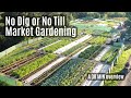 No-Dig / No-Till Market Gardening: overview in 30 mins