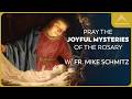 The Joyful Mysteries of the Rosary with Fr. Mike Schmitz (Sacred Art Version)
