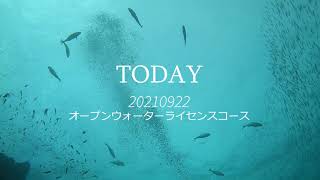 宮崎・日南の海・ダイビング動画・オープンウォーターライセンスコース中(^^♪