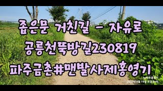 파주금촌맨발걷기- 2023년 8월 19일, 공릉천 뚝방길 기도(명상)걷기