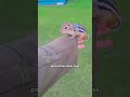 a friendly visit from the rescued chipmunk shorts shortvideo funny shortsvideo animal cute