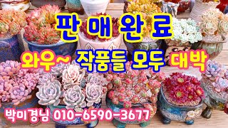 230517📍#박미경님 백봉철화 라탐 마리드금 플로리디티 니카금 부케 블랙캐시미어철화 레몬로즈금 핑크페퍼