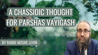 A Chassidic Thought For Parshas Vayigash- Joseph \u0026 Judah