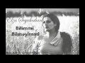 Elza Seyidcahan - Bilimmi Bilmeyimmi (Audio)