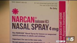 Dallas City Council gets update from opioid strike force regarding first year of work