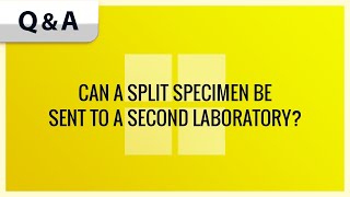 Can a split specimen be sent to a second laboratory?