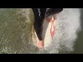 my pov hanging 10 u0026 cross stepping longboard surfing the sunday glide 45 with ben considine