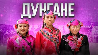 ДУНГАНЕ - КИТАЙЦЫ-МУСУЛЬМАНЕ I ЭТНОГРАФИЯ