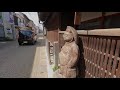 kurayoshi japan walk 倉吉市日本散歩 Кураёси Япония прогулка