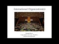 01   International Organization Introduction