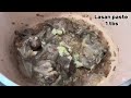 authentic mutton shorba recipe easy u0026 flavorful mutton soup traditional indian recipe