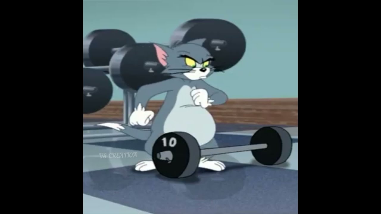 Tom And Jerry Gym Wallpaper At Pamela Cerda Blog