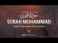 Most beautiful recitation of Surah Muhammad in the World سورة محمد | Zikrullah TV