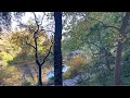 🔴 NYC Live: The Central Park Experience 10/25/24