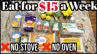 EXTREME BUDGET MEALS IN THE MICROWAVE // EAT FOR $15 A WEEK