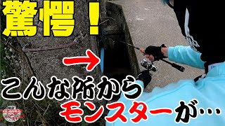 【バス釣り】マジか！！ありえないところからモンスターが・・・【五三川】