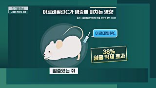 면역력 UP! '그린 프로폴리스'의 놀라운 효능! 다큐 플러스(docuplus) 198회 | JTBC 220116 방송