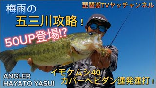 【バス釣り】五三川攻略！50UP登場！？梅雨時もハマるイモケムシ40のカバーヘビダンが炸裂する！