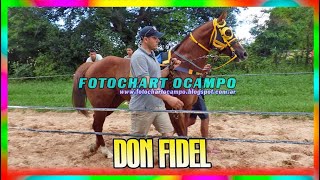 DON FIDEL   Santa Ana   Corrientes 09 02 2025