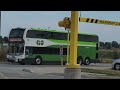 go u0026 miway buses erin mills august 2022