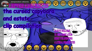 The Cursed Capybara and Estate Clip Compilation ( Deepwoken )