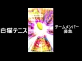 白猫テニス　150階　到達まで　寝てしまった　ごめん！　今日も少しだけ頑張る！