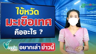 แบบนี้ก็มีด้วย ! ไข้หวัดมะเขือเทศ คืออะไร ? l อยากเล่าข่าวนี้ 26 ส.ค. 65