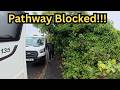 From Jungle to Walkway: Beast of Bexley Clears the Way 