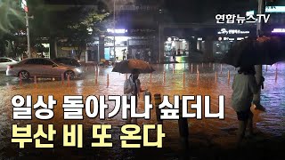 일상으로 돌아가나 했더니…부산 또 비 내린다 / 연합뉴스TV (YonhapnewsTV)