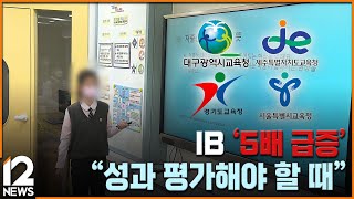 IB '5배 급증'…\