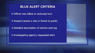 What is a Blue Alert in Texas?