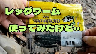 レッグワームでブラックバス釣り【ダウンショットリグ】