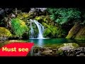 NATIONAL GEOGRAPHIC   The Garden Of Eden    Full Mystery Documentary