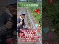 ミニトマトちゃん植えてます🍅超高糖度のロッソナポリタンです❤️今年も日本一を狙います✨