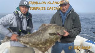 11/13/21 Farallon Island Surprise Catch!!!