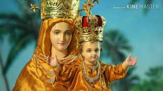 Velankanni mariyaye .... Vendum varam tharuvaye ... வேளாங்கண்ணி மரியாயே வேண்டும் வரம் தருவாயே🙏