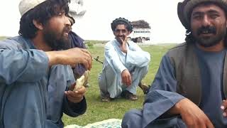 Pashto New Khost Funny Majlis Shadat Tanai Khost Park 2024