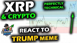 XRP Price Chart, Altcoin Market and Bitcoin in a Frenzy as Trump Surprises, But it Was Technical