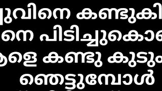 | അപ്പുവിനെ കൊണ്ടുപോയ ആളെ കണ്ടു ഞെട്ടി എല്ലാവരും | keralatvserial