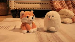 Cuteoy Talking Puppy Animals Repeat What You Say Pomeranian and WelshCorgi Shaking Head.