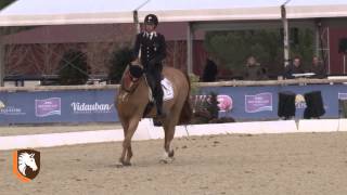 WDM Vidauban 2015 #3 in CDI 5* Nürnberger GP Valentina Truppa \u0026 Fixdesign Chablis