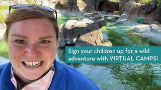 Virtual Camps 2020