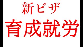 【速報版】新制度育成就労ビザについて【技能実習制度廃止】