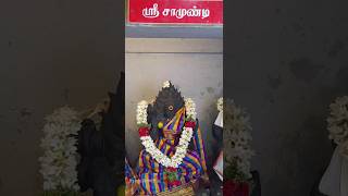 சப்த மாதர்கள் அபிஷேகம் | பிடாரி பொன்னியம்மன் கோயில் பாடி