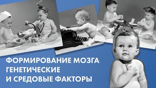 Формирование мозга. Генетические и средовые факторы // Наталья Кучеровская