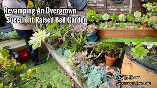 Succulent Raised Bed Revamped