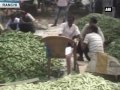 cash crunch reeling farmers throw vegetables on roads ani news