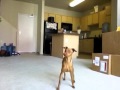 Min pin tricks