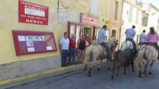 Fête de Marsillargues 2017 - 2ème abrivado - 6 Août 2017