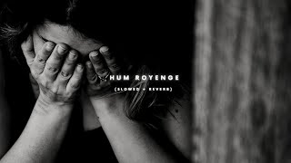 Hum Royenge (Slowed + Reverb) | Aleena Khan | Abbas Khan | Sad Song 2022 | THE SOLITARY MUSICA
